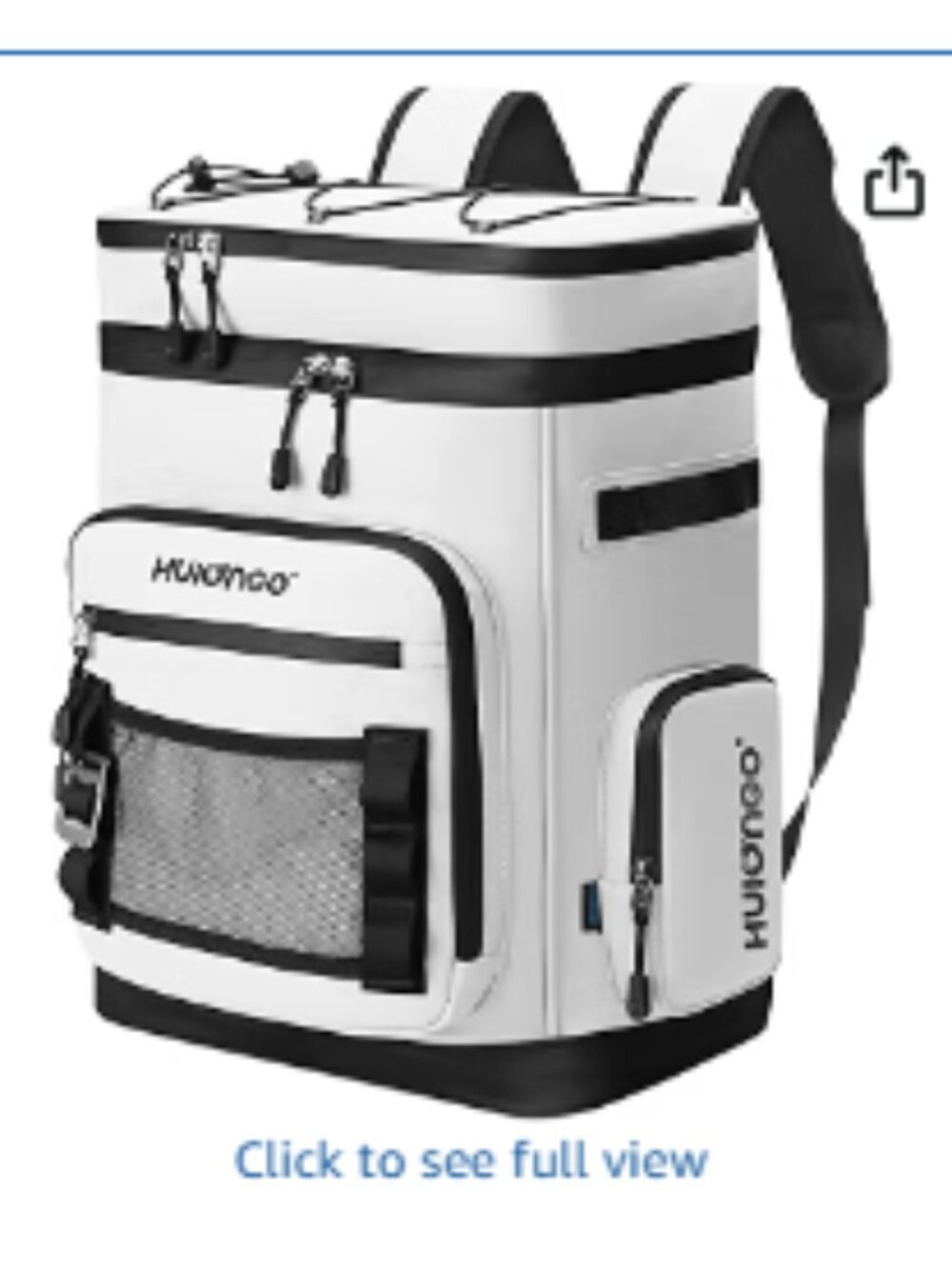 Large Cooler Backpack